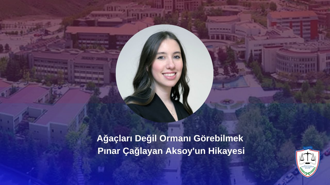 Ağaçları Değil Ormanı Görebilmek - Pınar Çağlayan Aksoy'un Hikayesi