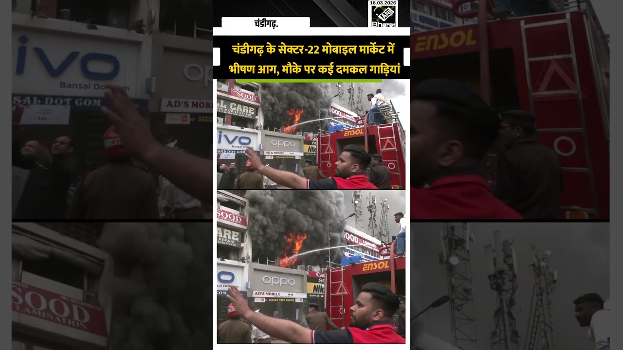 चंडीगढ़ के सेक्टर-22 मोबाइल मार्केट में भीषण आग, मौके पर कई दमकल गाड़ियां