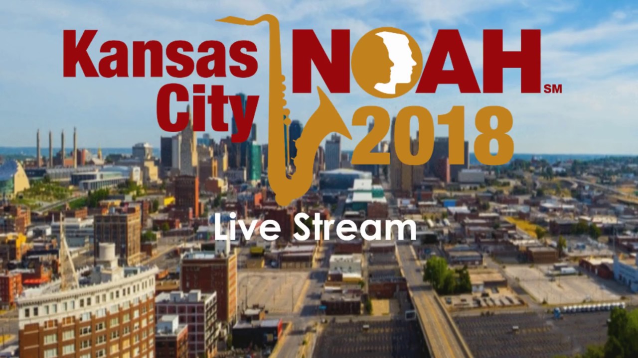 NOAH Con 2018: Latest Research in Albinism