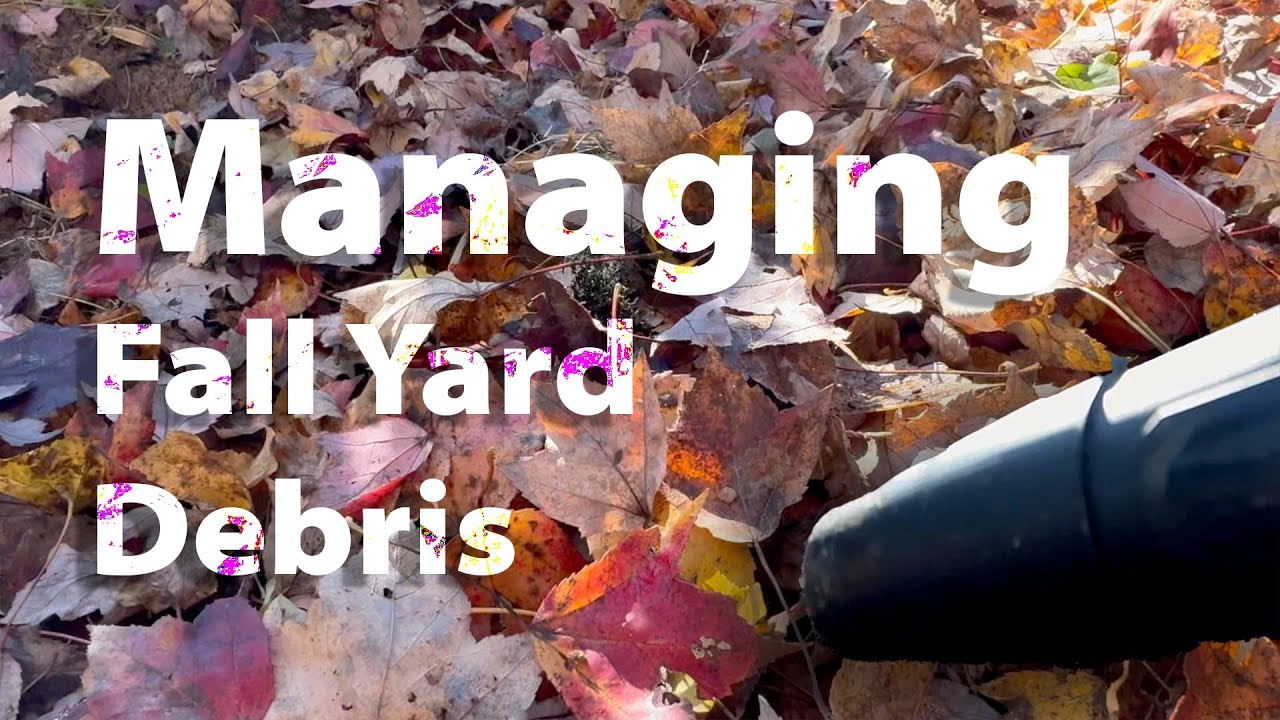 Reston Today - Managing Fall Yard Debris