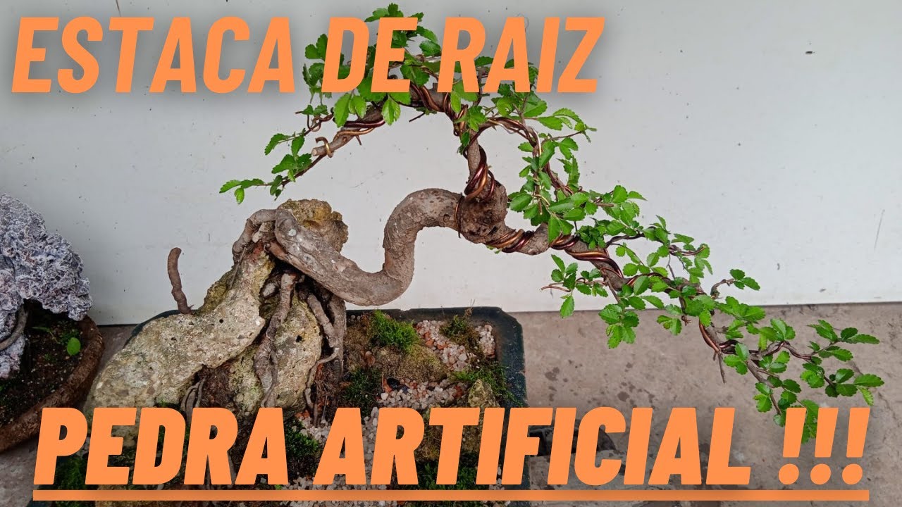 Pedra Artificial com Bonsai de Estaca de Raiz!