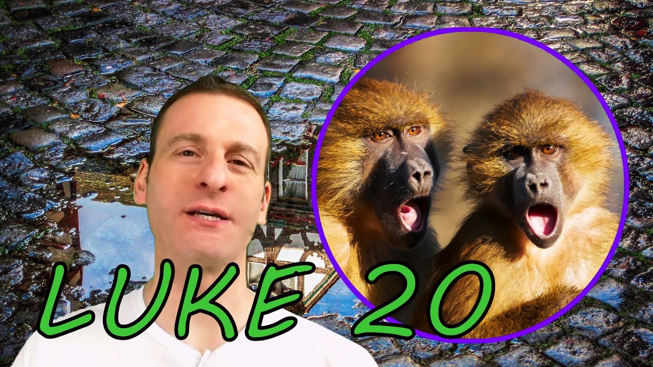 Luke Chapter 20 Summary and What God Wants From Us