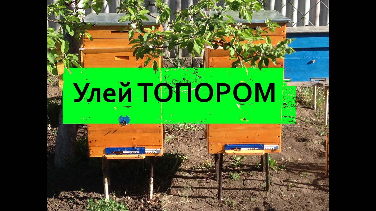 УЛЕЙ ИЗ ПОД ТОПОРА/Легко/Дешево/Быстро