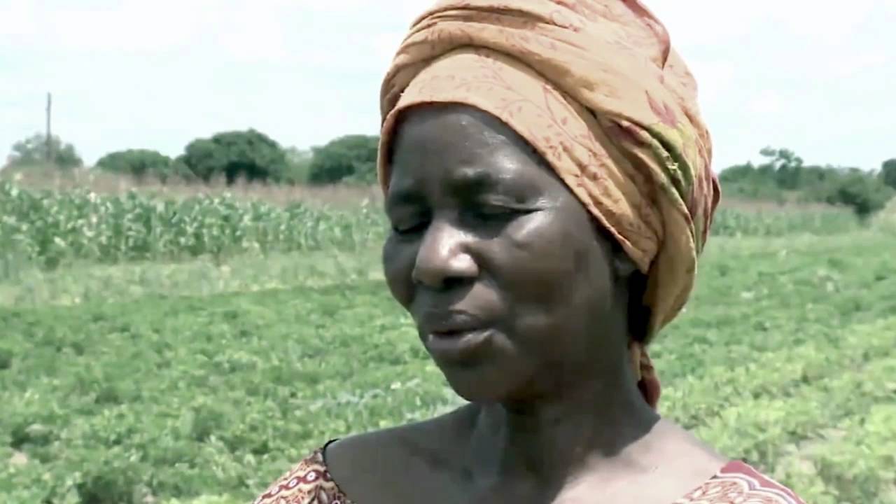 General kanene - boma isebenza