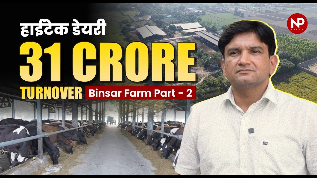 How to start dairy farming || Engineer's successful Hi-tech dairy farm model || डेयरी बिजनेस
