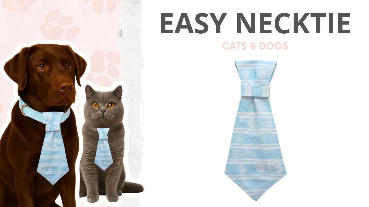 Slip-On Dog Necktie for Beginner-Friendly DIY 👔 Perfect for Weddings & Photos 👰