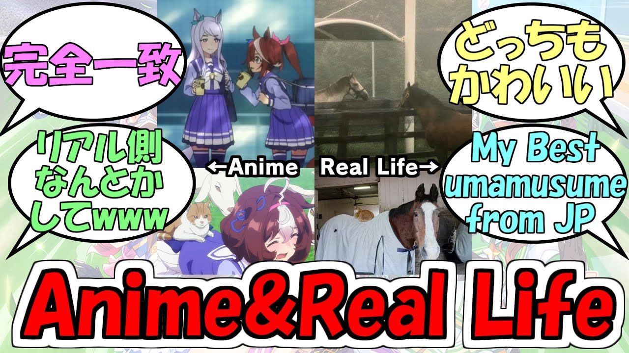 『ウマ娘のAnimeとReal Life比較』に対するみんなの反応【ウマ娘プリティーダービー】