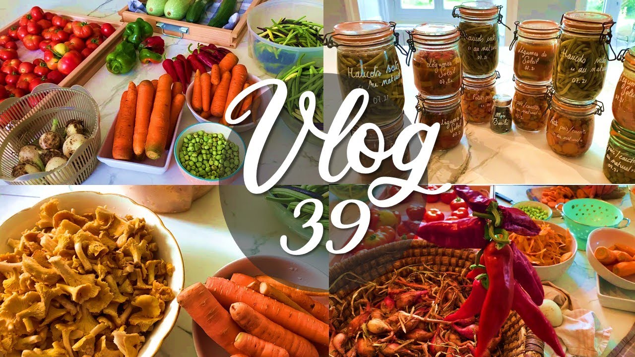Vlog #39 - Autonomie alimentaire : une journée cueillette, récolte, transfo