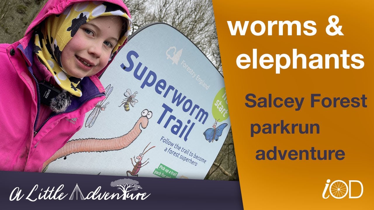 Worms & Elephants, a Salcey Forest parkrun tourism adventure