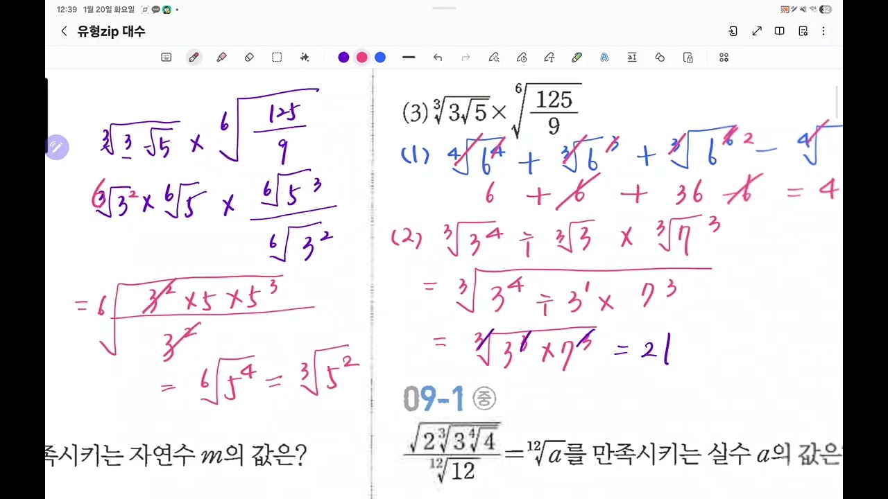 대수 유형   9~13 