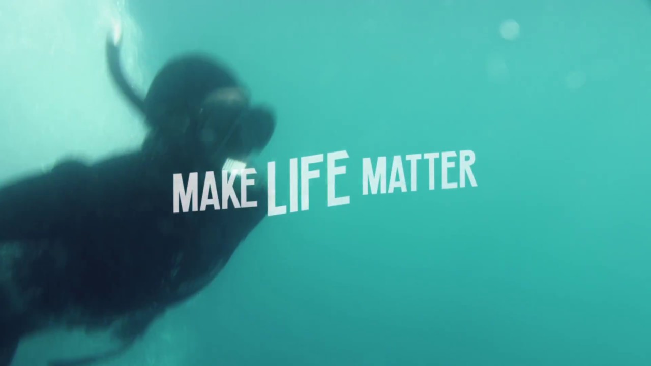 Make Life Matter - Wherever You Are in Life