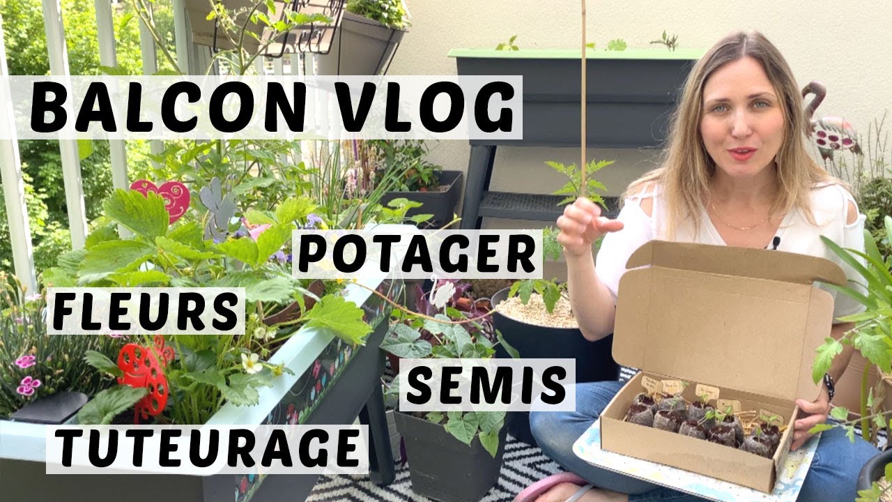 👩🏼‍🌾 BALCON VLOG AVRIL-MAI : SEMIS, TUTEURAGE, POTAGER EN POT, UPDATE ROSIERS EN POT