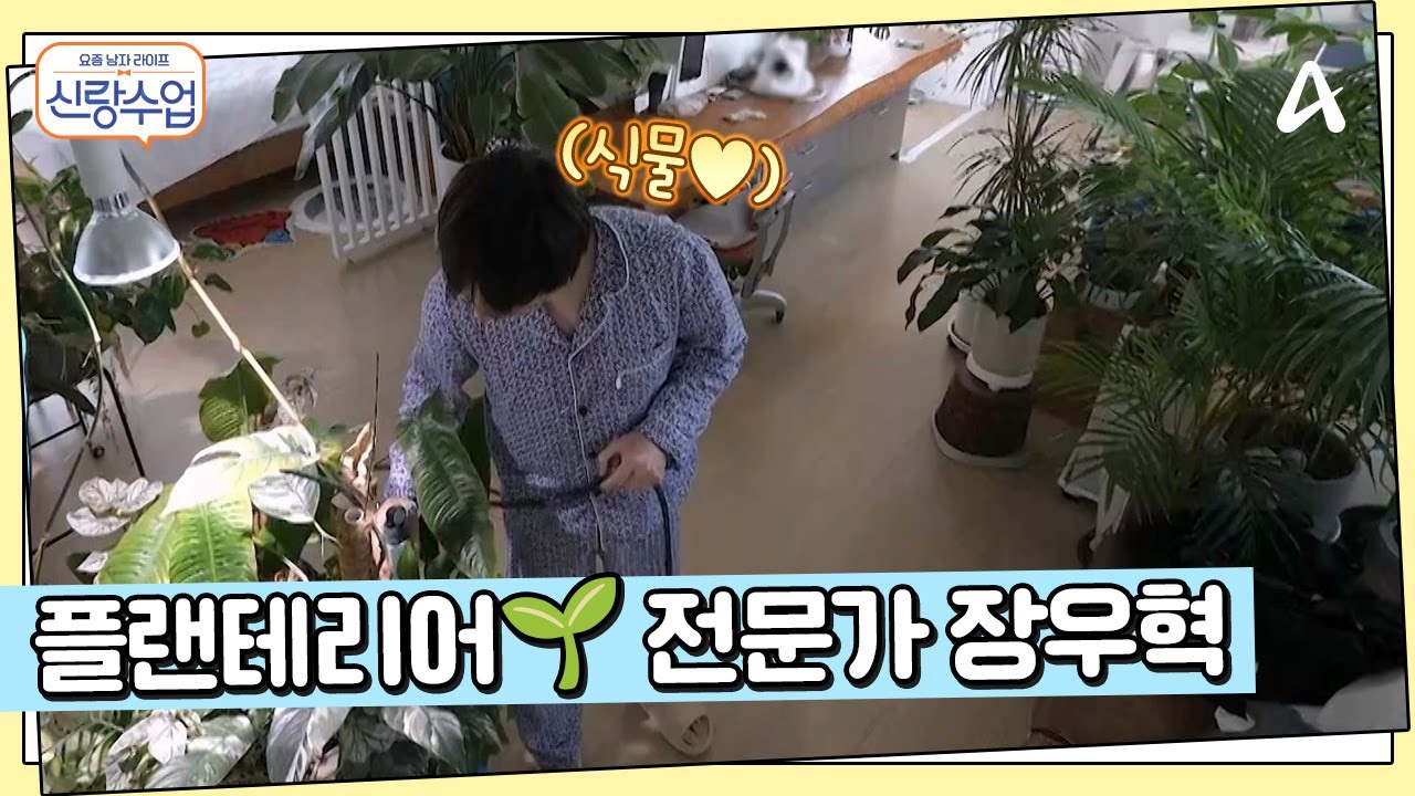 식물이 제일 좋아♨ 외로움을 달래주는 플랜테리어 전문가 장우혁 | 요즘남자라이프 신랑수업 156 회