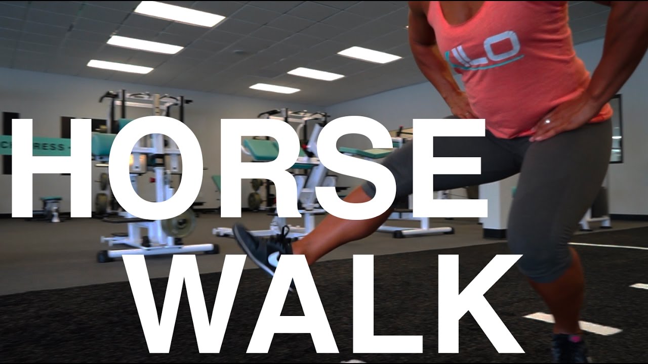 ANIMAL WALKS | Horse Walk