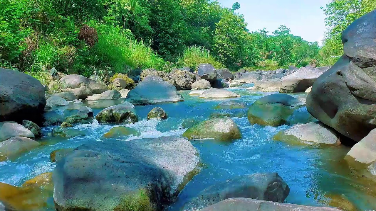 Gentle River Stream with Wind Through Trees | 11 Hours ASMR for Restful Night