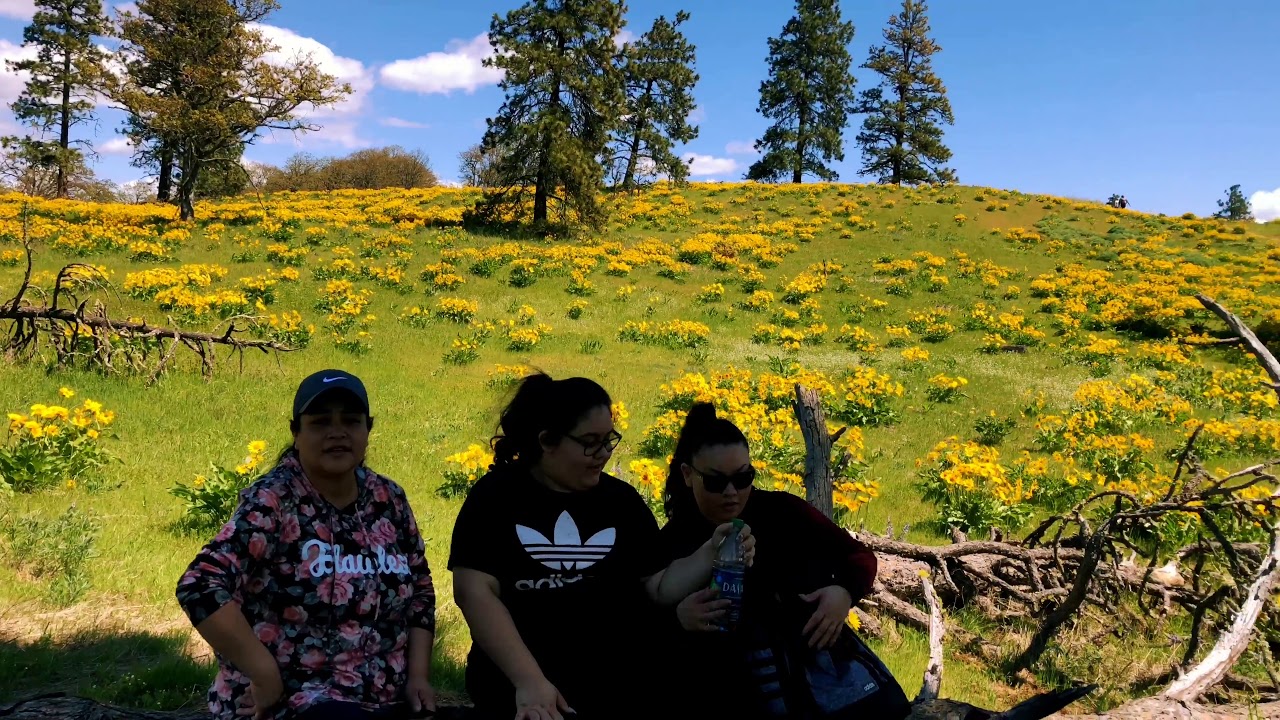 Memaloose state park
