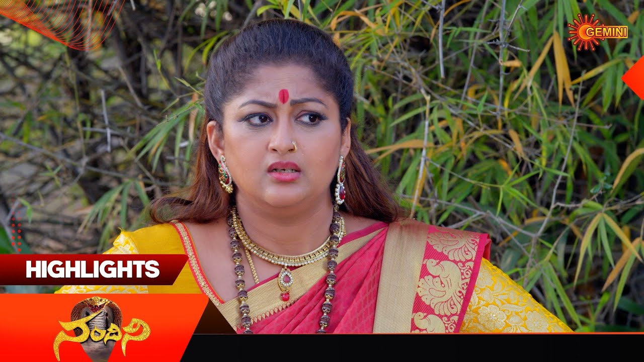 Nandini - Highlights of the day | Watch full EP Sun NXT | 24 Dec 2025 | Gemini TV
