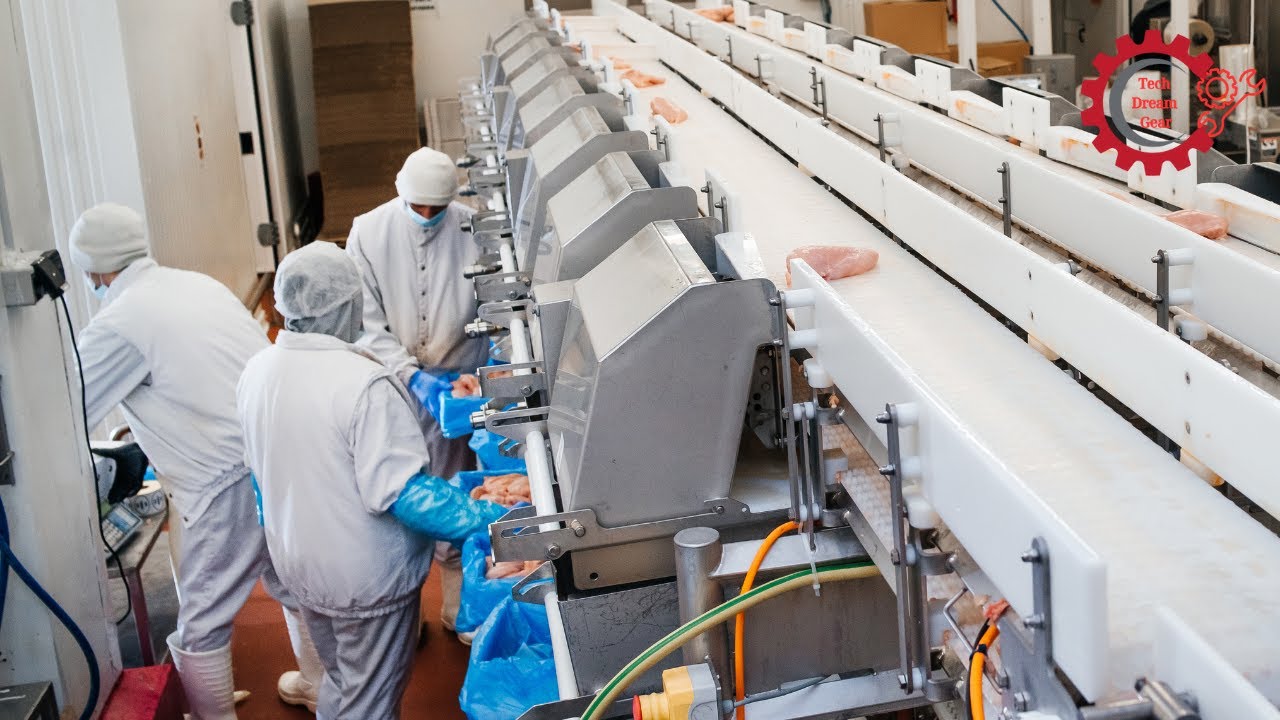 How Automation is Changing the Food Processing Industry