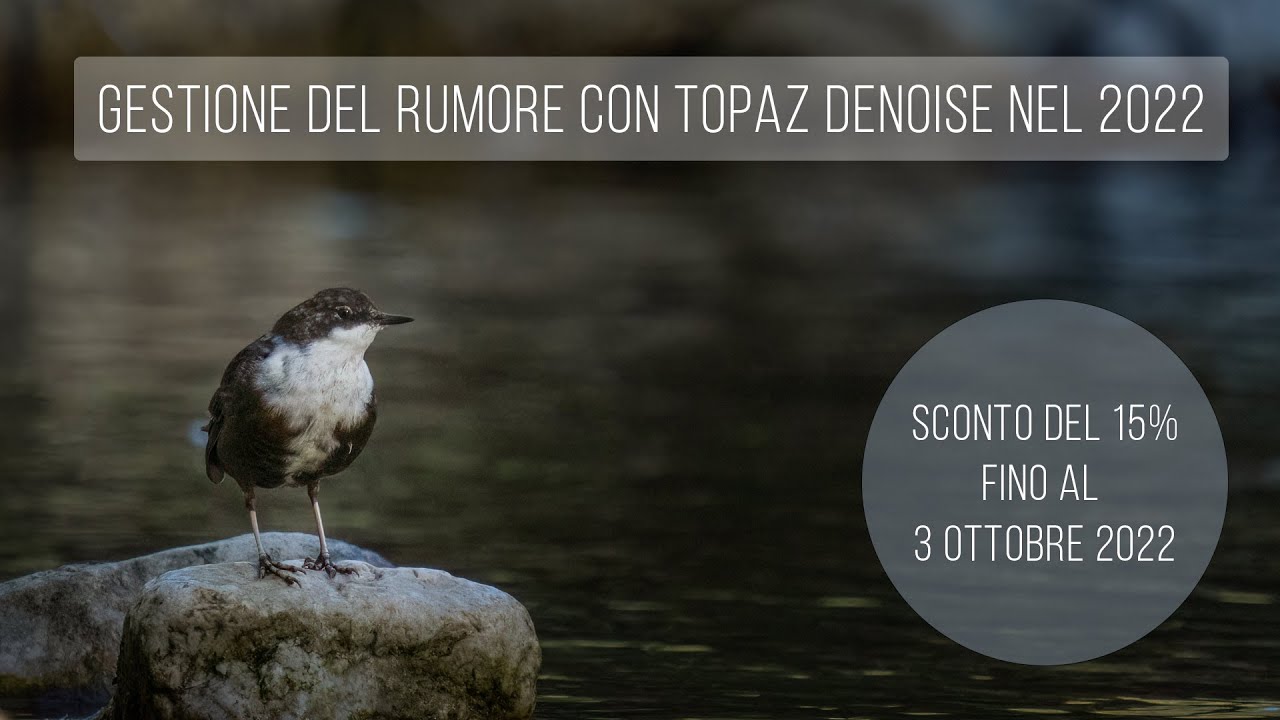 Gestione del rumore con Topaz Denoise nel 2022