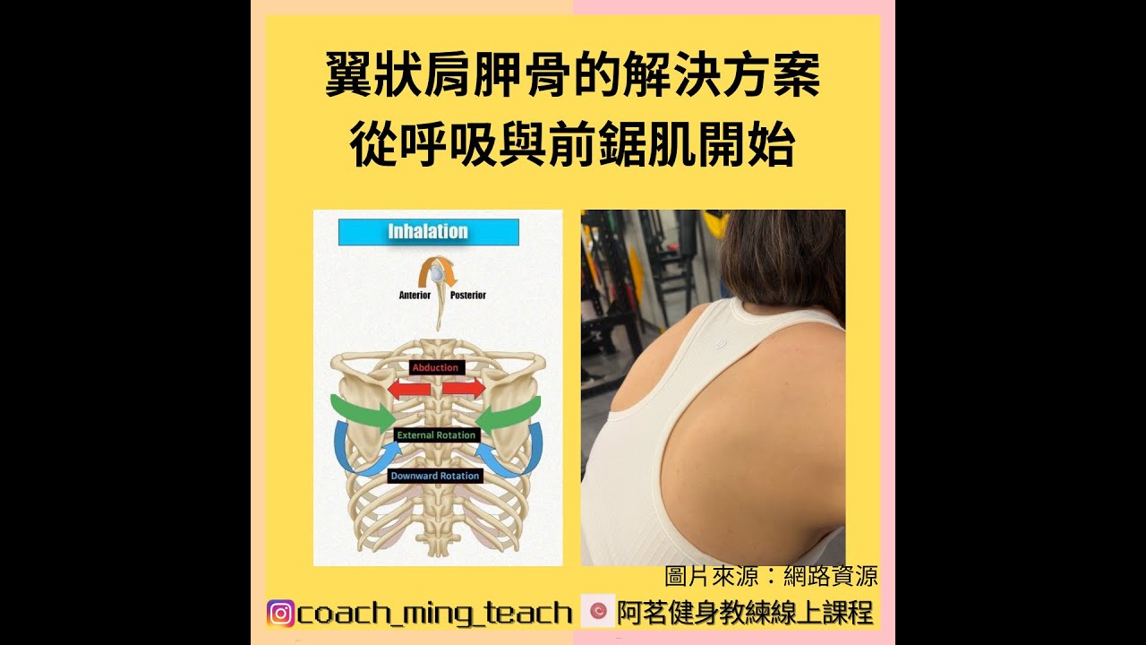 『翼狀肩胛骨的解決方案：從呼吸與前鋸肌開始』