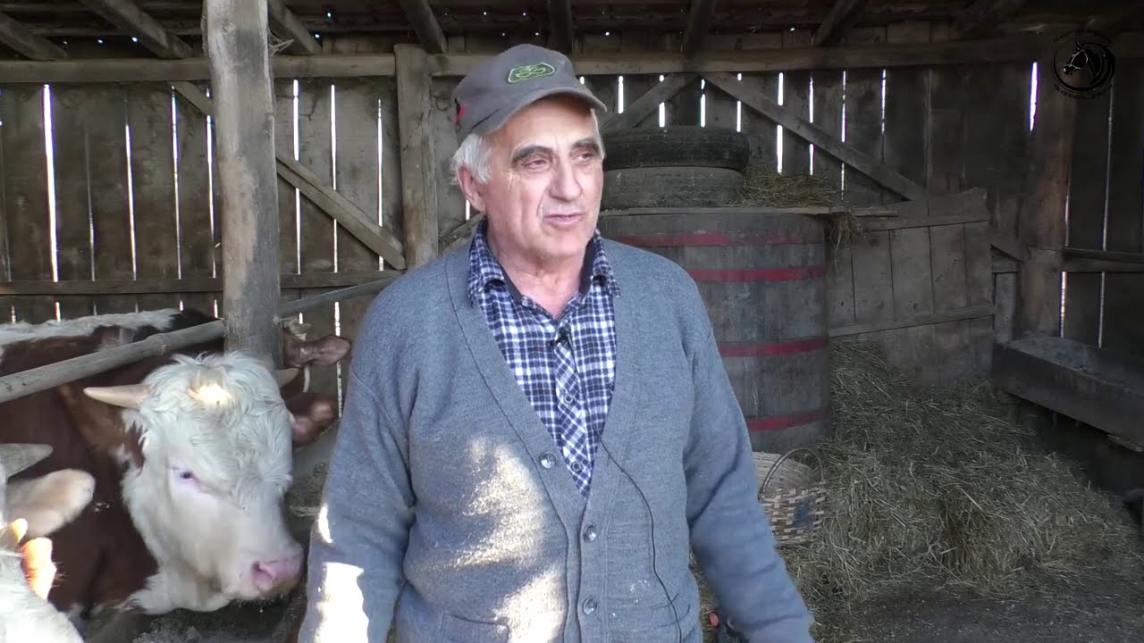 -Farma junadi  Slaviše Pekeza u Starom Martincu nadomak Srbca -