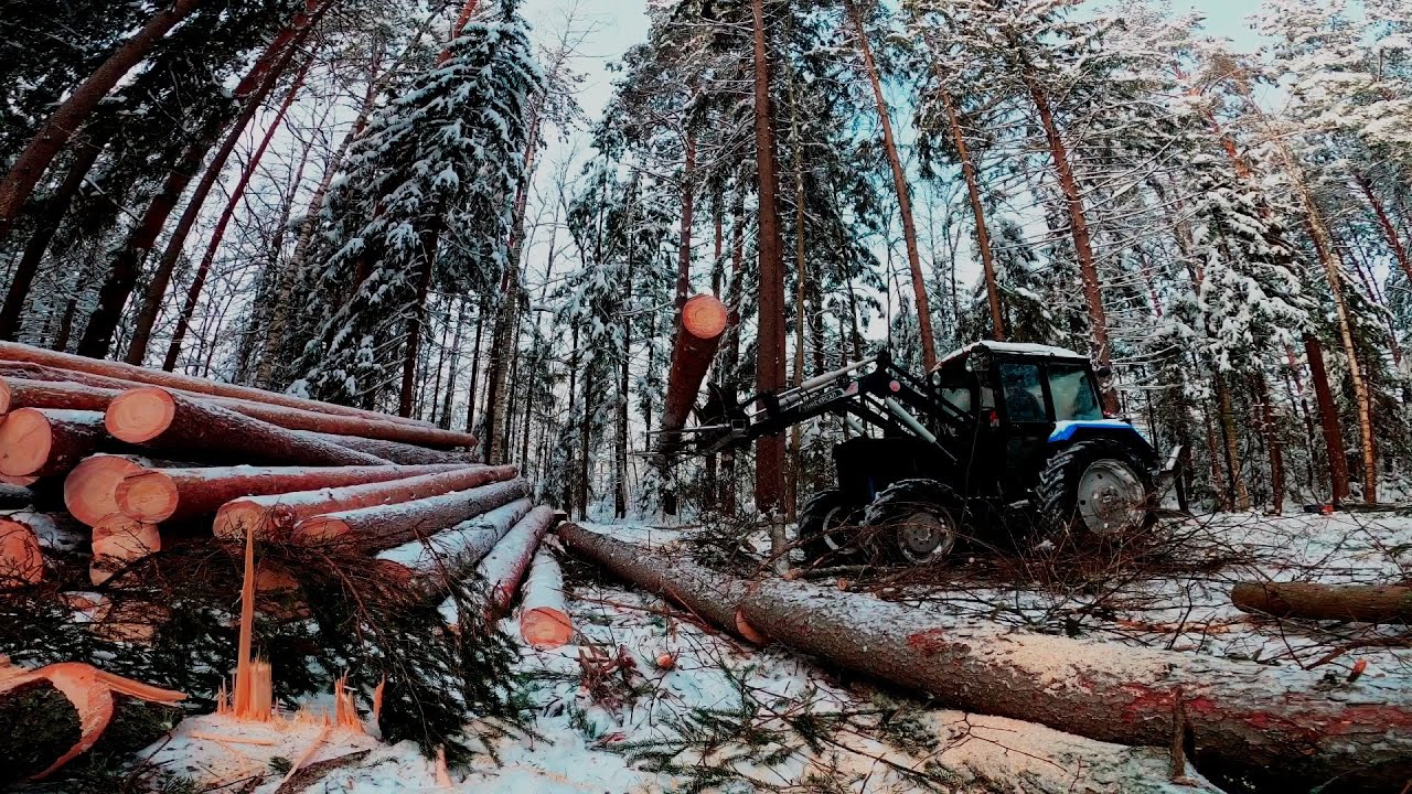 МТЗ 82 с куном, Как начинать рубку  делянки?