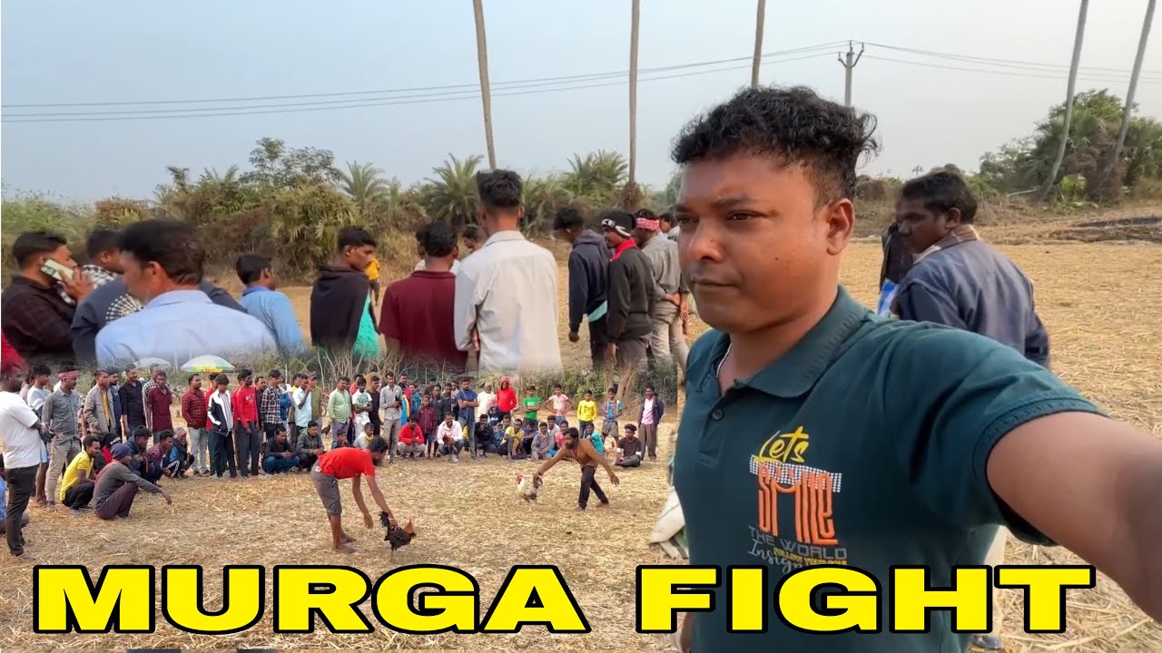Paikara Murgi Fight Santali Vlog 