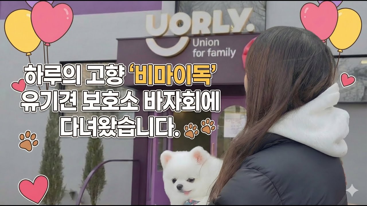 하루의 고향, '비마이독' 유기견 보호소 바자회에 다녀왔습니다.