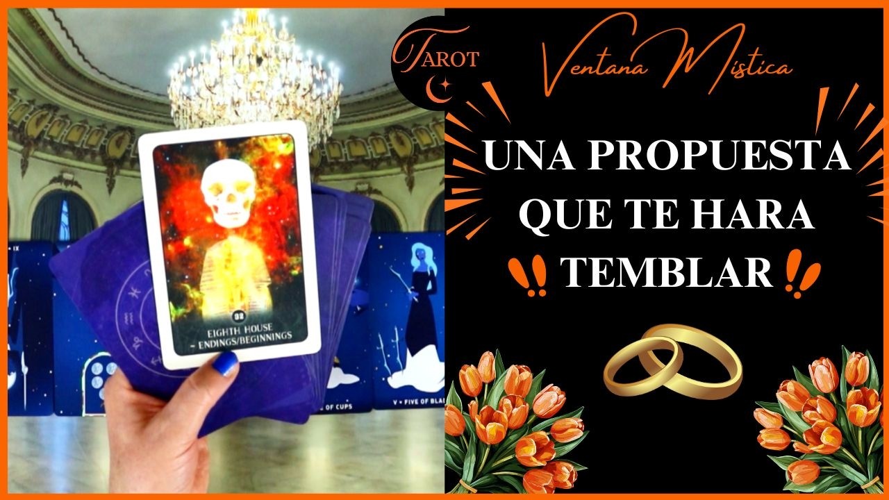 ‼️NO LO SUBESTIMES‼️VENDRA CON UNA PROPUESTA QUE TE HARA TEMBLAR Y NO SABRAS QUE HACER😳‼️TAROT, AMOR