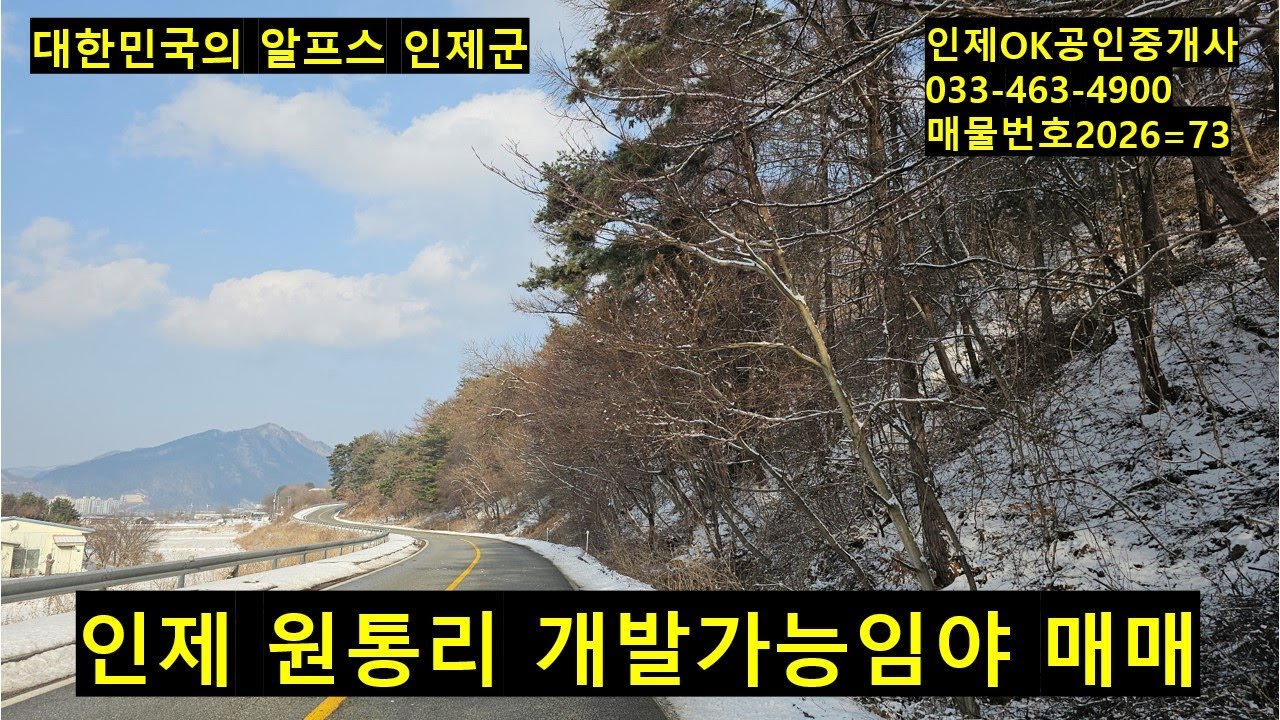 인제 원통리 개발가능임야 급매매