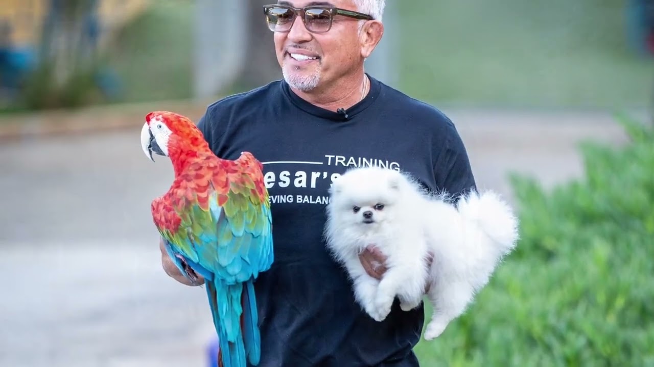 Trip to Cesar Millan