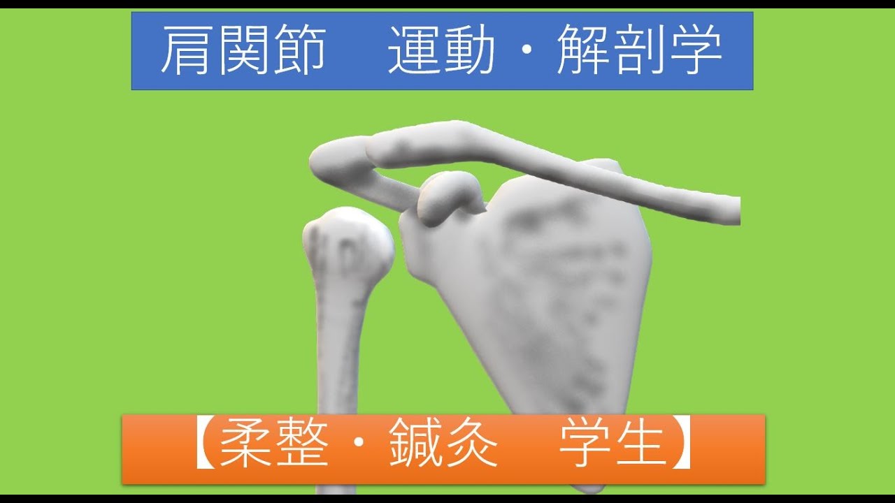 【柔整　鍼灸　学生】肩関節　解剖・運動学