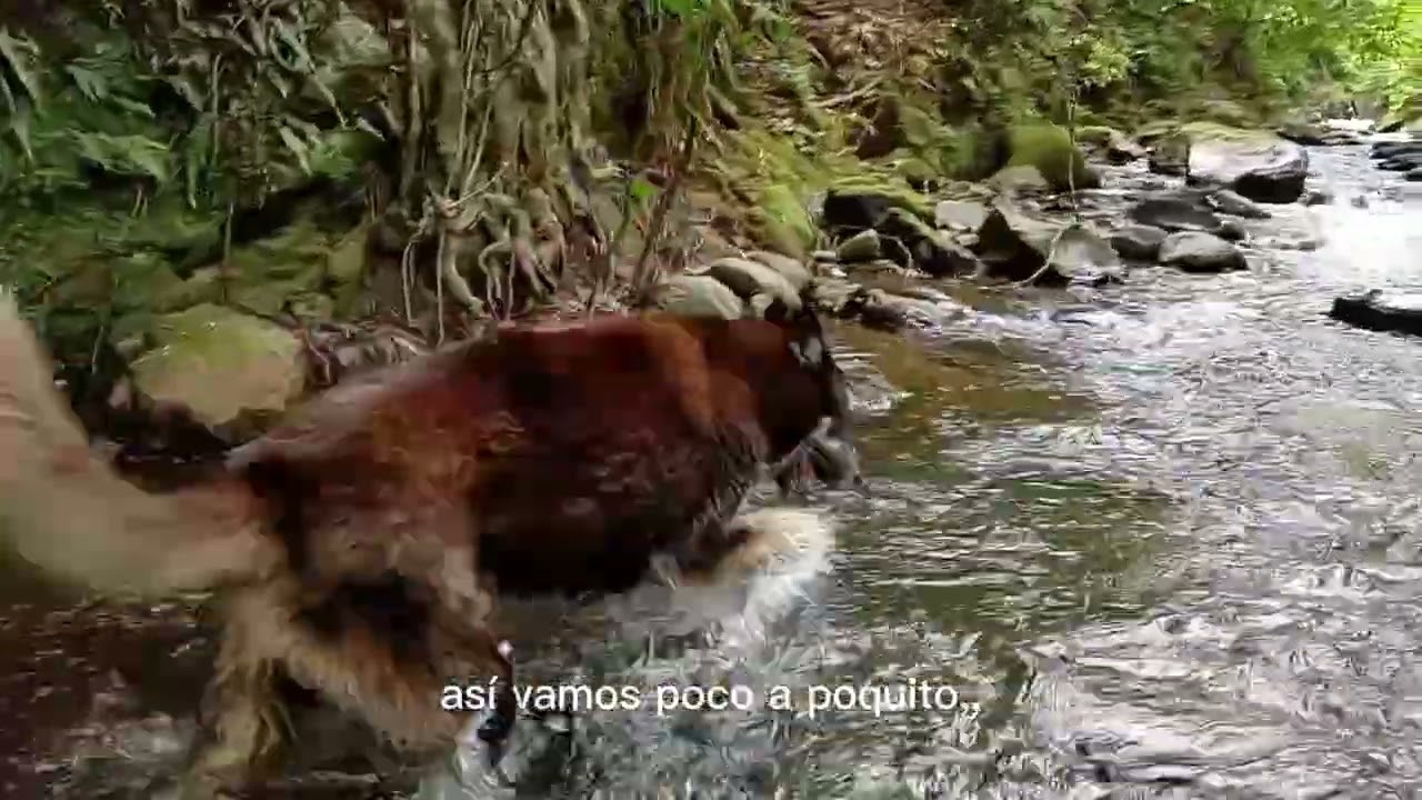 Explorando una hermosa cascada en medio de naturaleza | Acompáñanos!!!