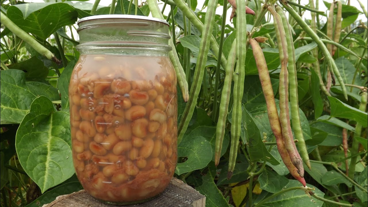How to Can Purple Hull Peas or Black Eyed Peas
