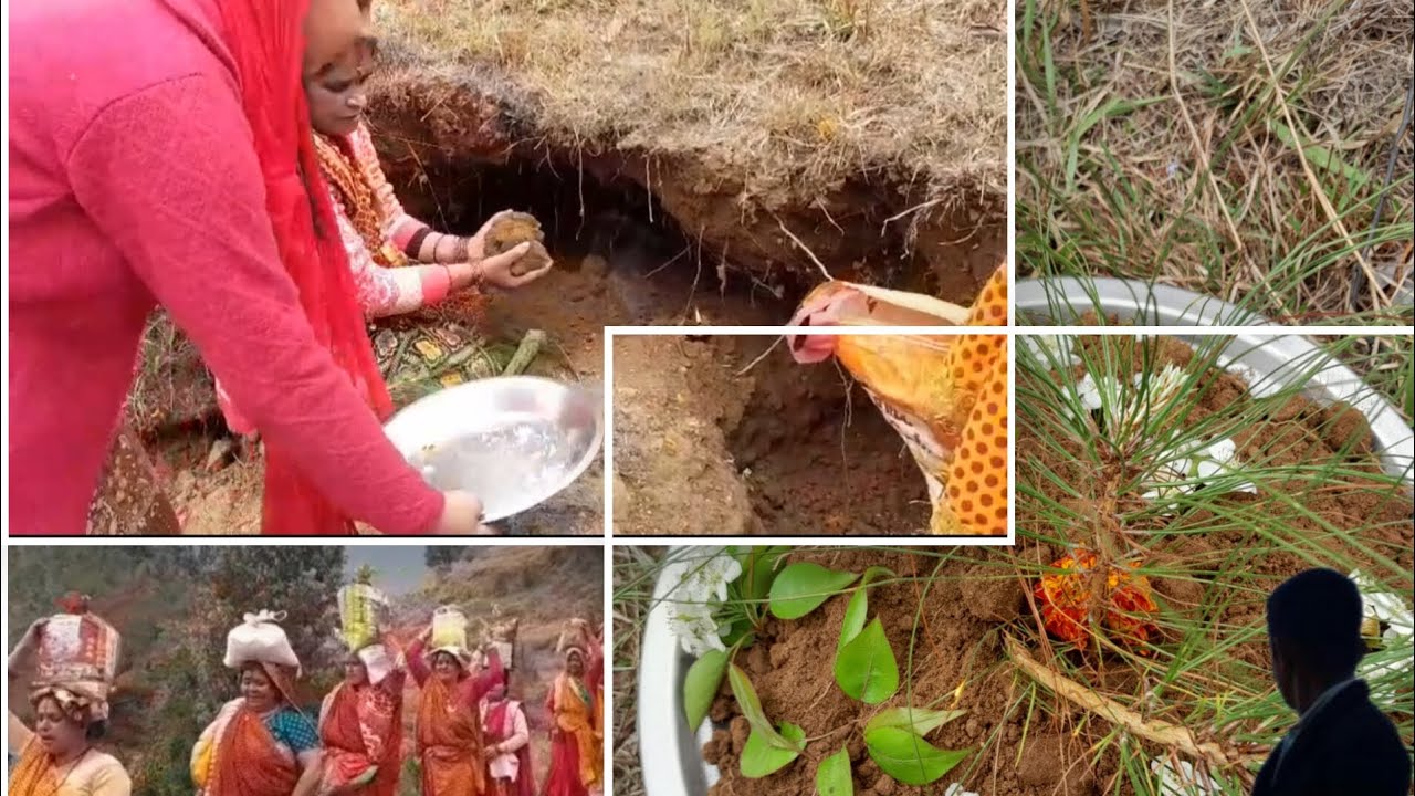 जनेऊ स्पेशल janeu spacial #uttakhandi #janeu #pahadi life style #vlogs#krishnajoshivlogs#uttrakhnd 