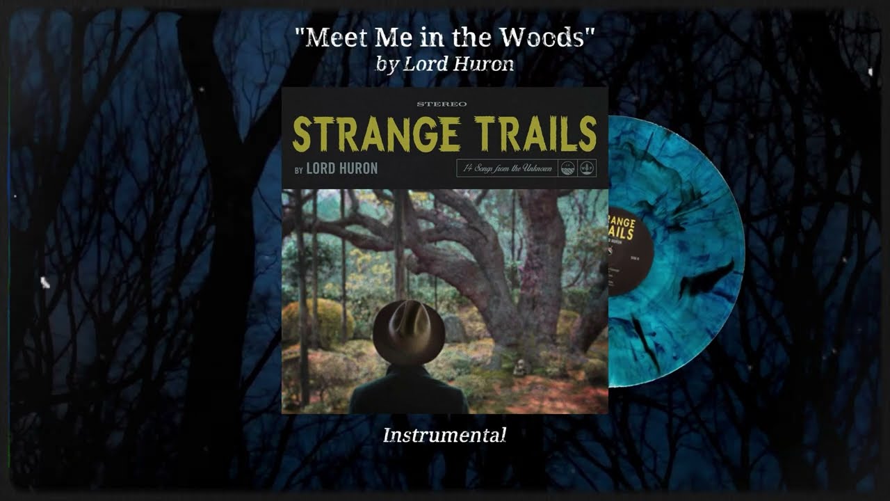 Meet Me in the Woods | Instrumental | Lord Huron