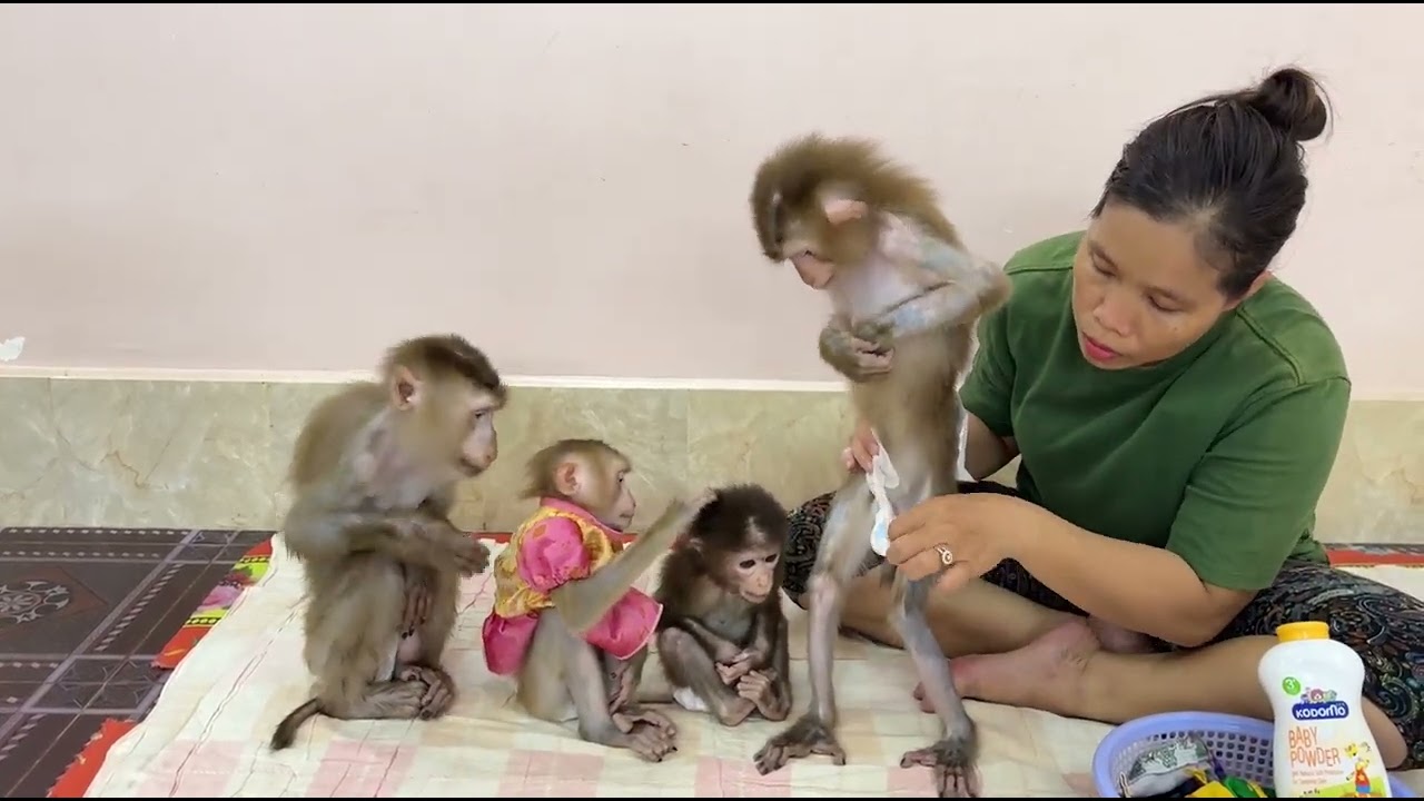 Don't Look At Meee!! So Funny Moment Jula Loudly Tell Sibling To Look Away So RED SHY!!