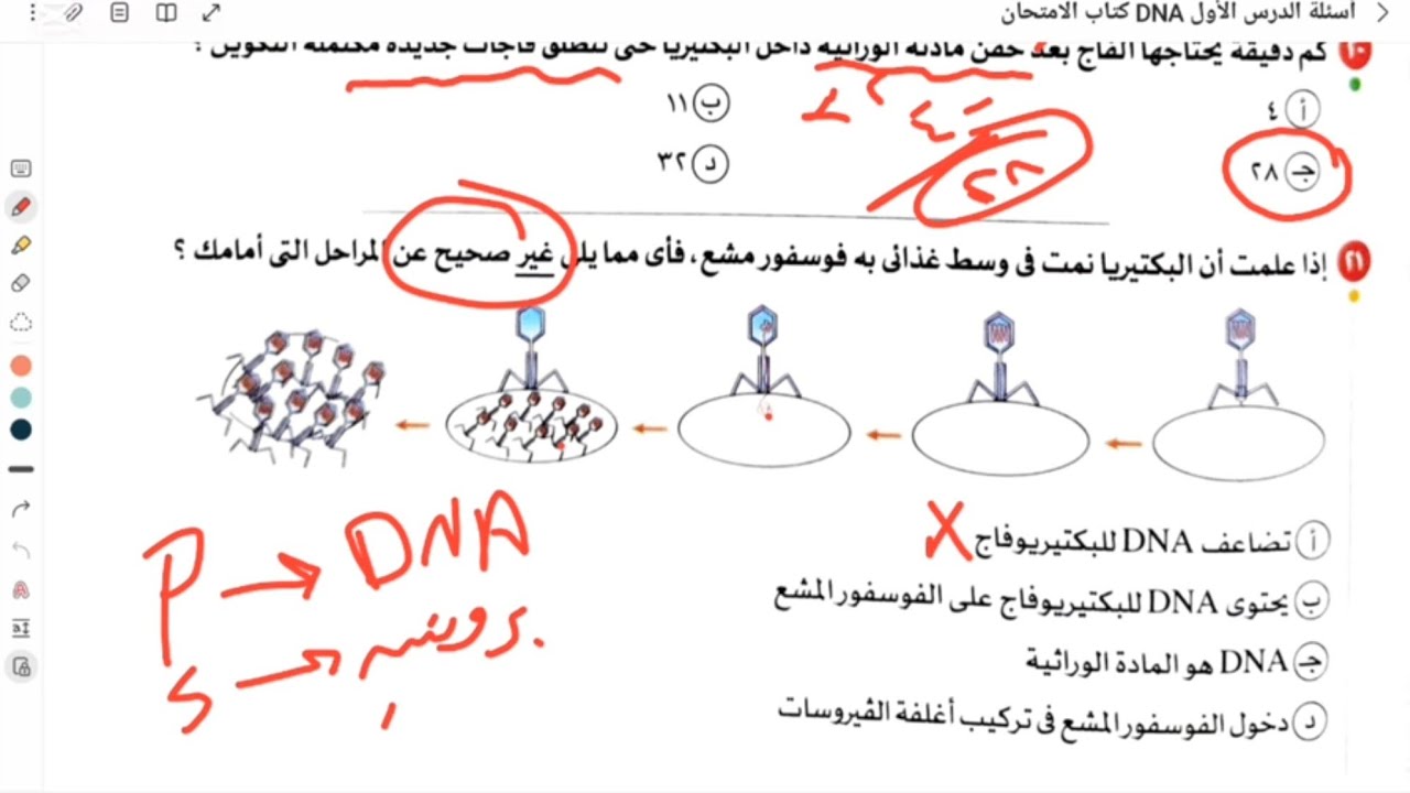 حل أسئلة الدرس الأول DNA (جهود العلماء لمعرفة المادة الوراثية للكائن الحي) 3 ثانوي |عفاف عبدالرحمن 