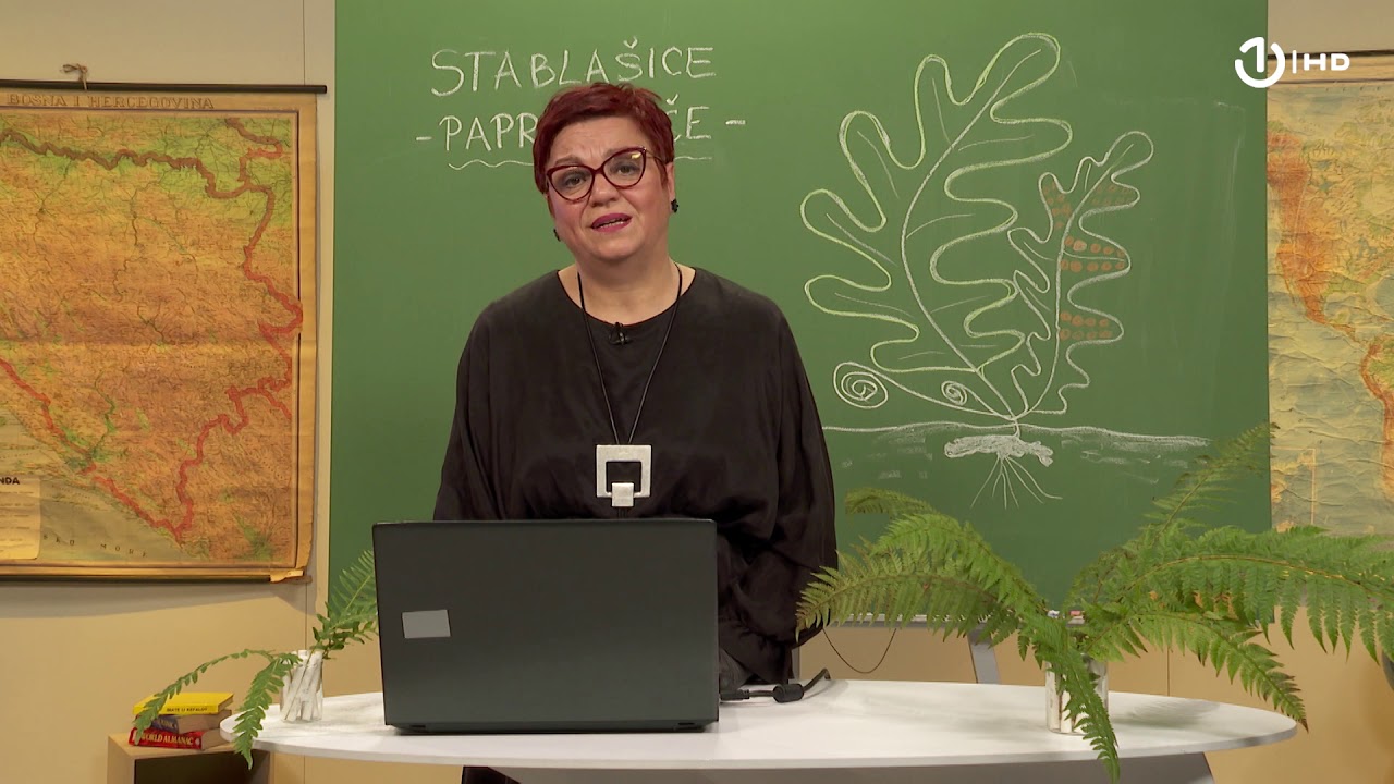 Domaća zadaća za 6. razred: Biologija - Paprati