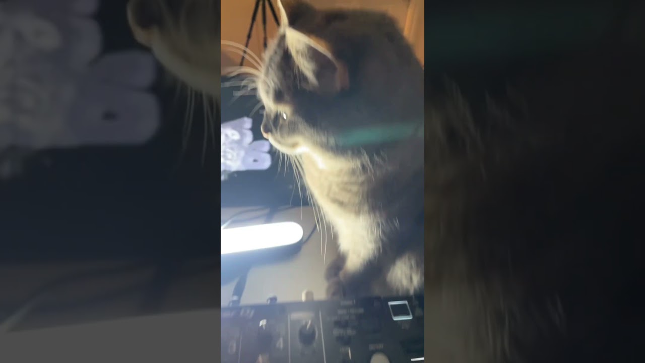 Using Pioneer Pro DJ link with Resolume to get a single laptop, no ShowKontrol, cdj visual sync