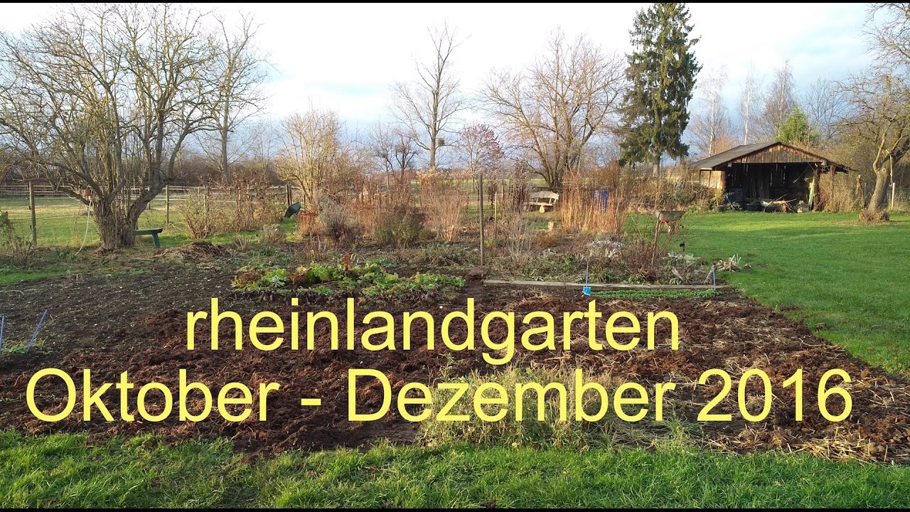 Garten-Arbeit von Oktober bis Dezember 2016 | rheinlandgarten