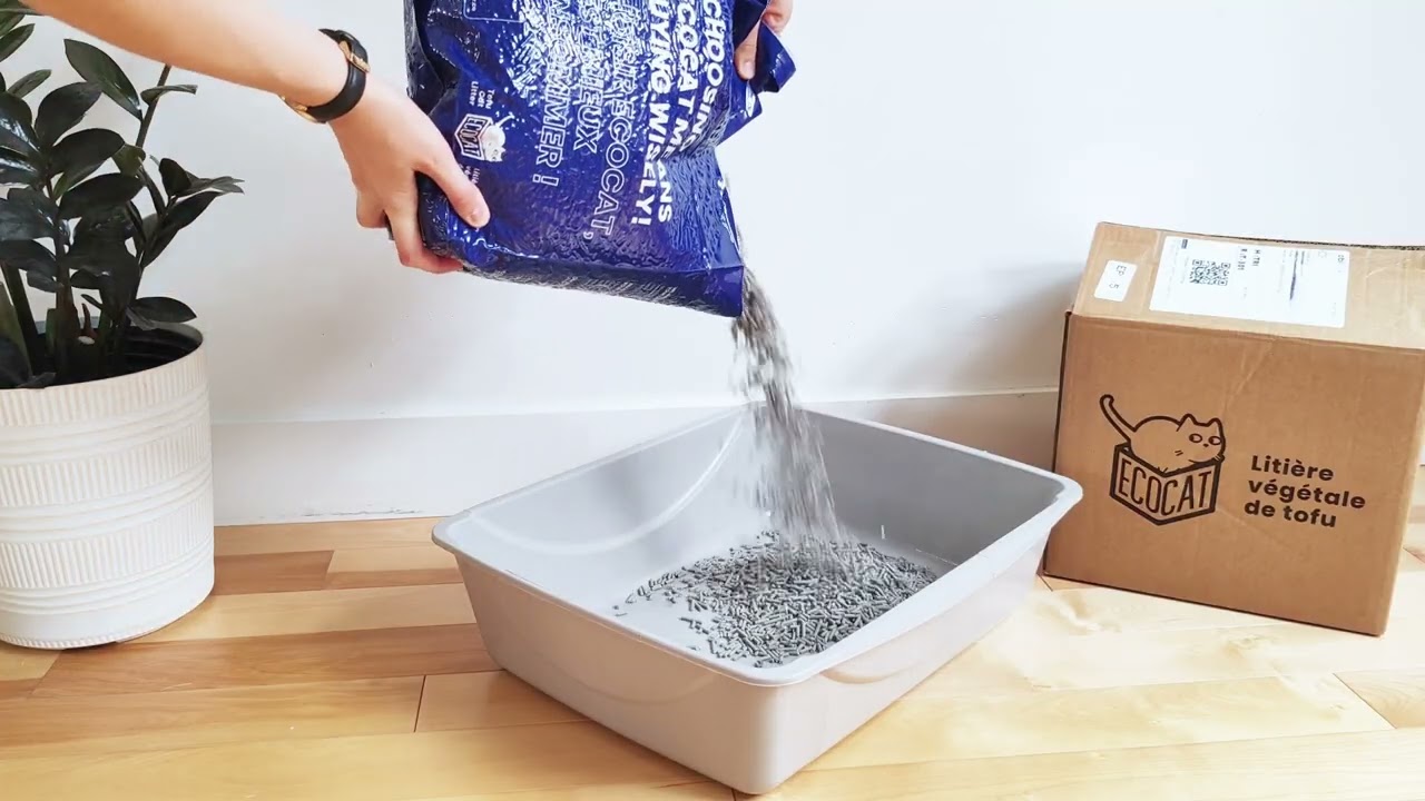 Ecocat litter - plant-based litter demo