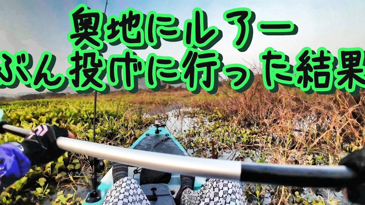 【カヤック】デカチャドーを追い求めて奥地に行ったけど何もなし…だけどここにはいるはず…釣れるまで投げるとそこでついに…一瞬のやり取りの末に釣り上げたのは…【ジャイアントスネークヘッド】