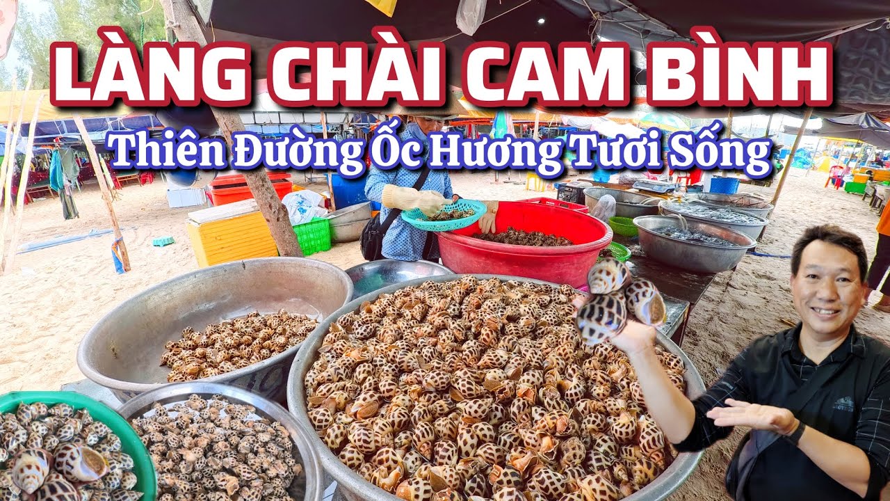 Làng Chài CAM BÌNH LAGI - THIÊN ĐƯỜNG ỐC HƯƠNG TƯƠI SỐNG GIÁ RẺ.
