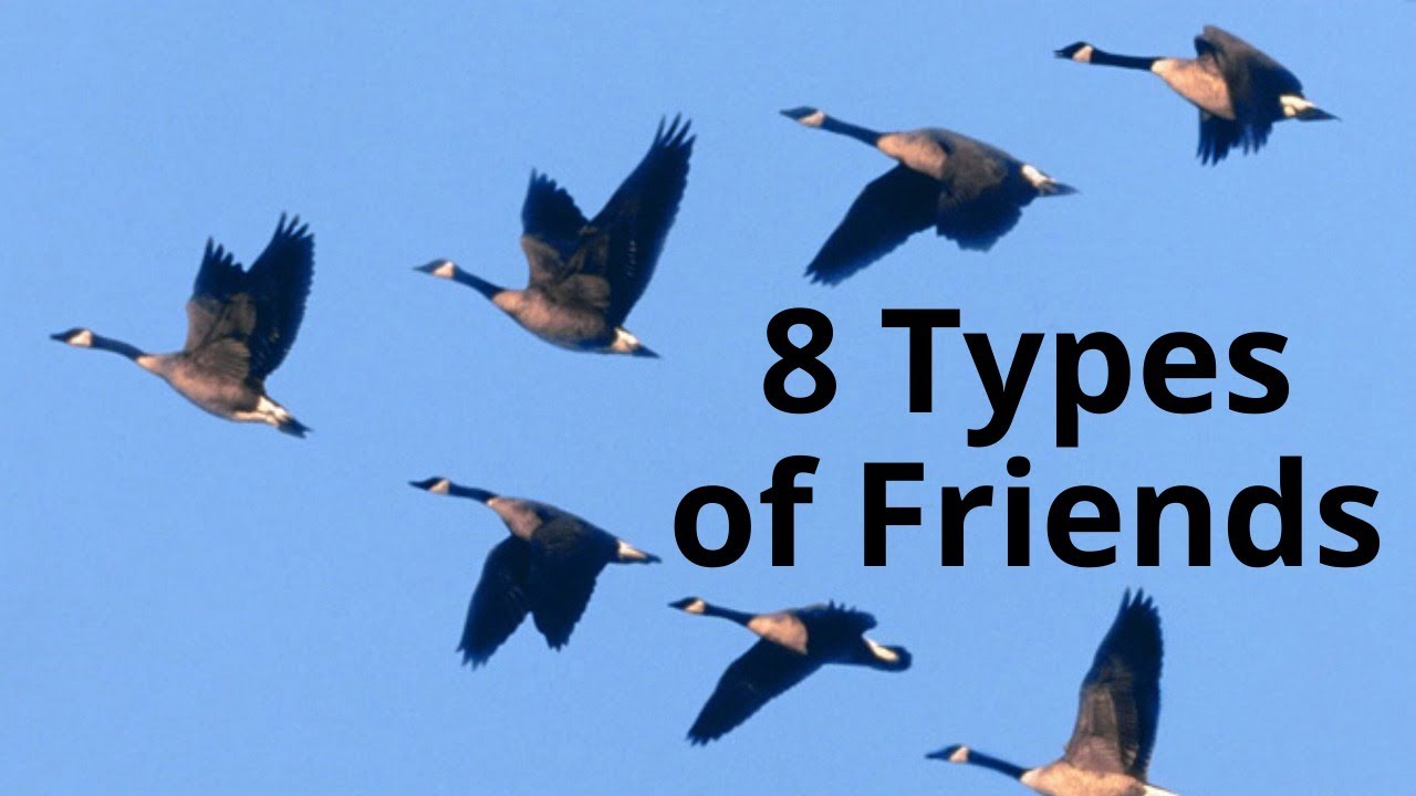 8 Types of Friends - Dr. K. N. Jacob