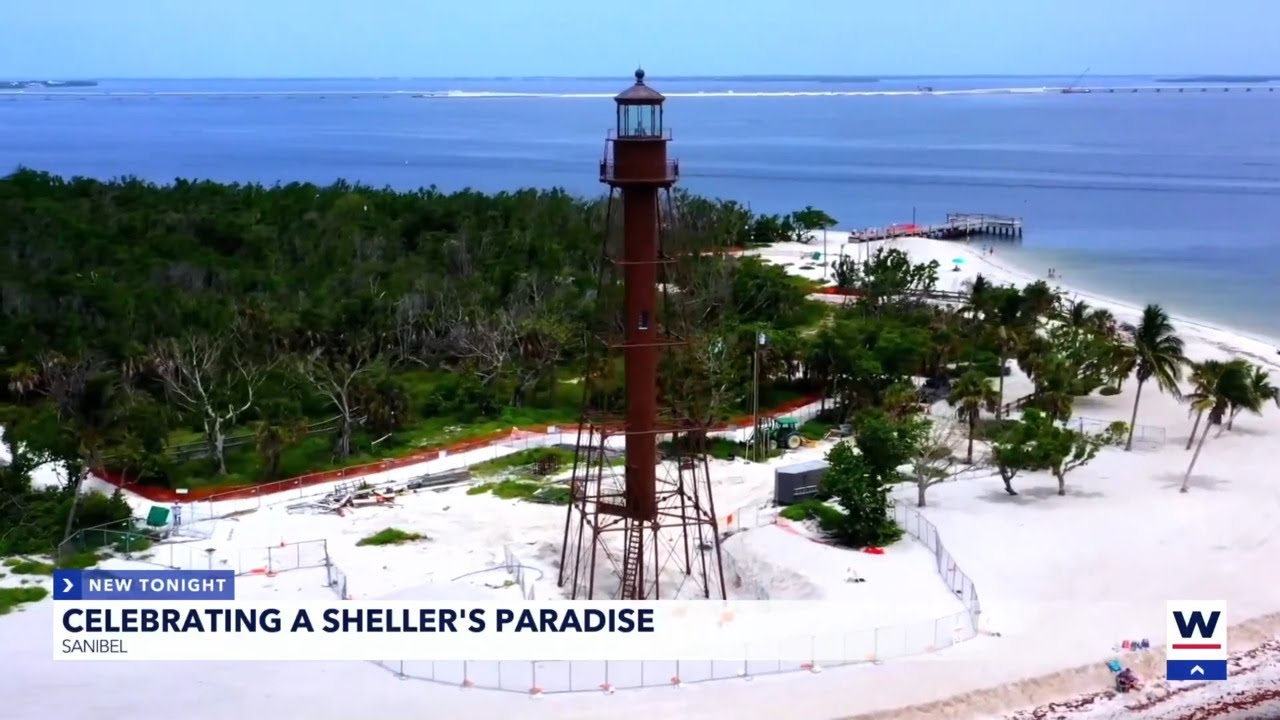 Sanibel Beach shines as a top 2025 destination for shelling
