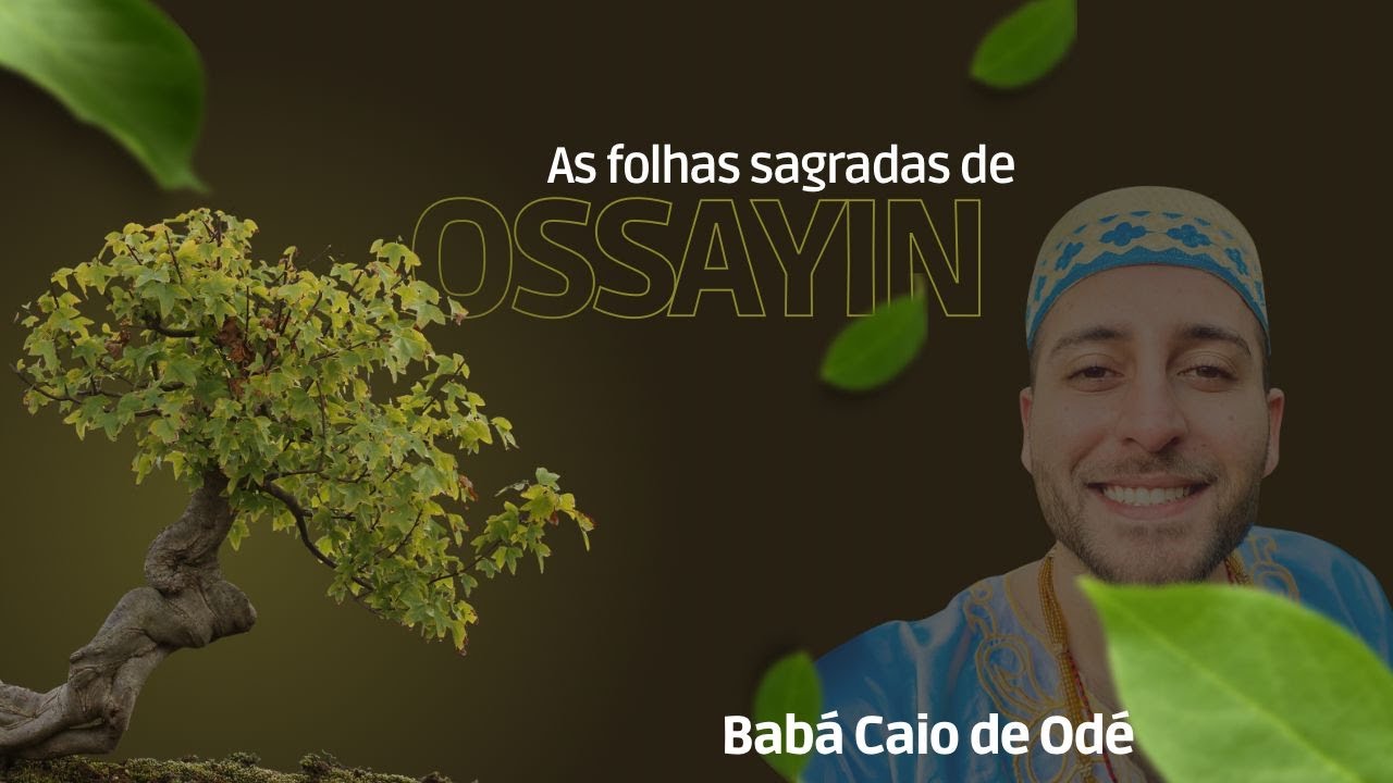 OSSAYIN E O PODER DAS FOLHAS