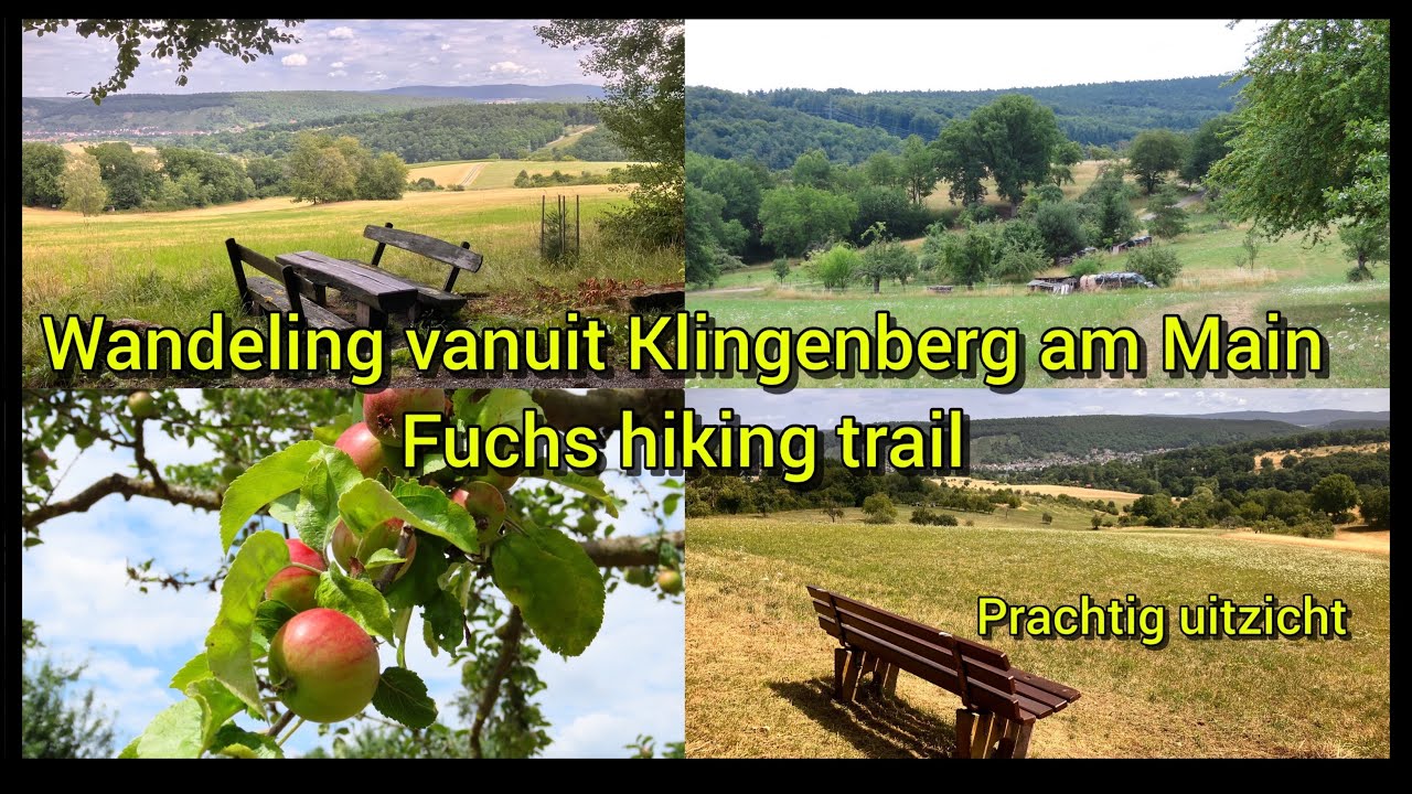 Prachtig uitzicht tijdens de wandeling vanuit Klingenberg am Main, Fuchs hiking trail