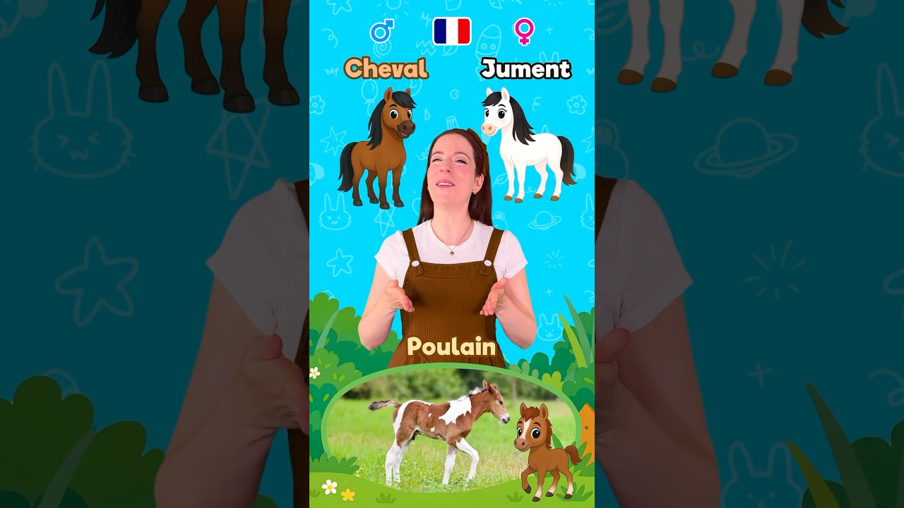 Les animaux en famille 2 🇫🇷 #apprendre #enfants #d&eacute;butant #education #maternelle #fran&ccedil;ais
