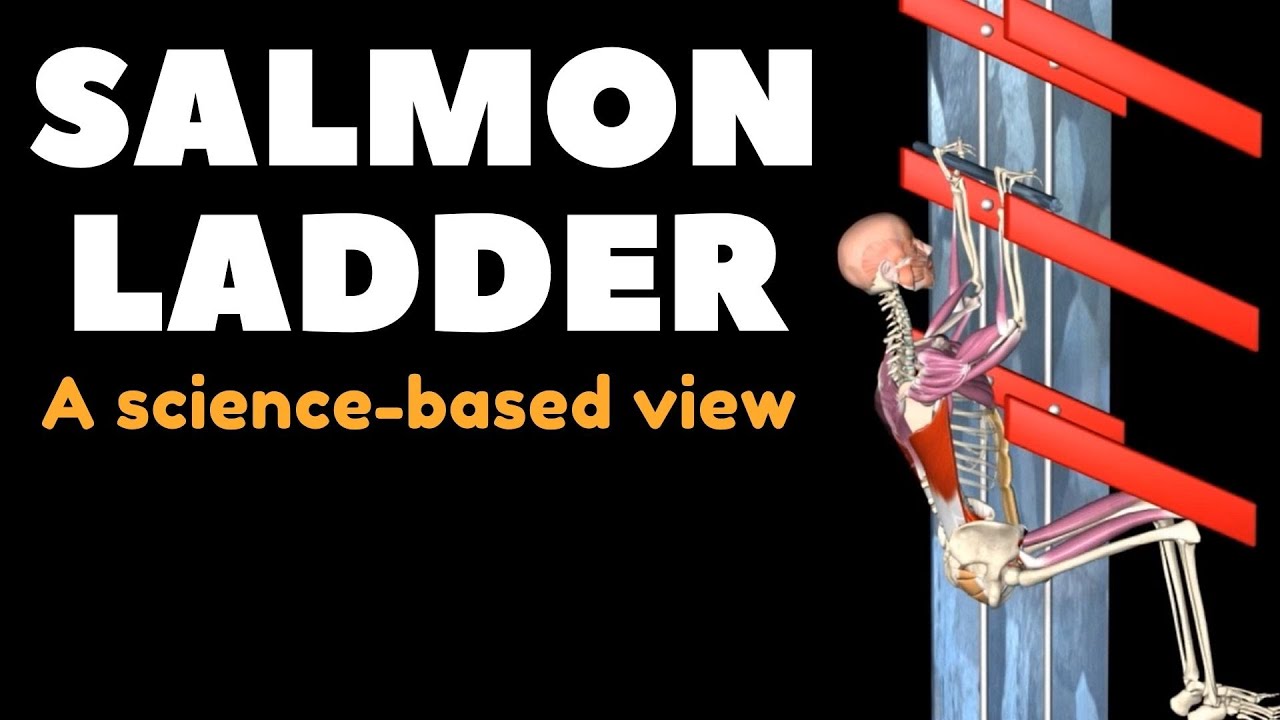 All about the Salmon Ladder from a science-based view